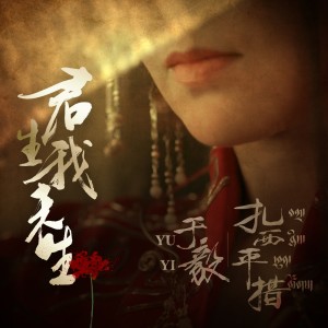 Listen to 君生我未生 (伴奏版) (伴奏) song with lyrics from 于毅