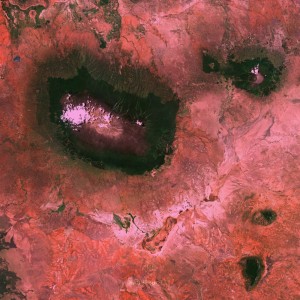 ดาวน์โหลดและฟังเพลง Into the Jungle พร้อมเนื้อเพลงจาก Quadrumana