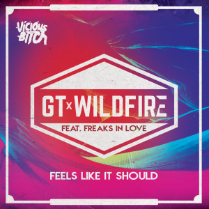 ดาวน์โหลดและฟังเพลง Feels Like It Should พร้อมเนื้อเพลงจาก GT