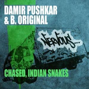 收聽Damir Pushkar & B.Original的Chased (Original Mix)歌詞歌曲