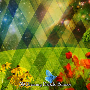 Relaxing Rain Sounds的專輯39 Dreamy Drizzle Echoes