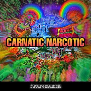 Listen to CARNATIC NARCOTIC song with lyrics from futuremusick