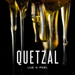 Listen to Luz y miel (Light and Honey) song with lyrics from Quetzal