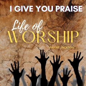 Listen to I Give You Praise song with lyrics from Wayne Jackson