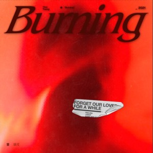 曾轶可的专辑Burning