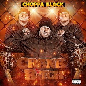 收听Choppa Black的Crank Bitch (Explicit)歌词歌曲