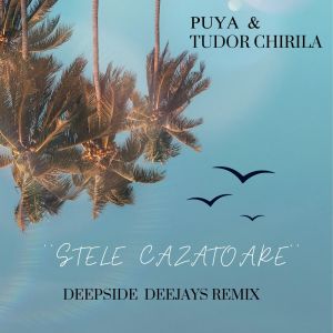 Puya的專輯Stele cazatoare (Deepside Deejays Remix)