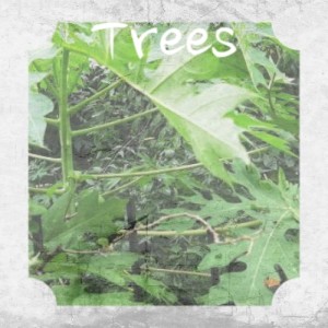 ดาวน์โหลดและฟังเพลง Two-Some พร้อมเนื้อเพลงจาก The Lana Sisters