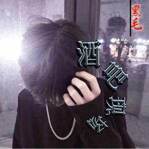 Album 酒吧现场 from DJ黑毛