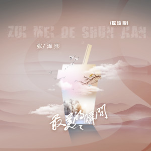 收聽張澤熙的最美的瞬間 (搖滾版)歌詞歌曲