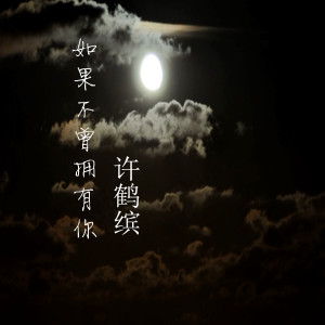 收聽許鶴繽的如果不曾擁有你 (電視劇《姐妹兄弟》主題曲)歌詞歌曲
