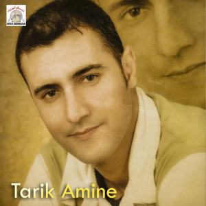 Listen to Iwa Rouh song with lyrics from Tarik Amine