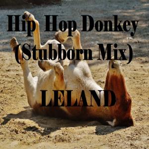 Hip Hop Donkey (Stubborn Mix) (Explicit)