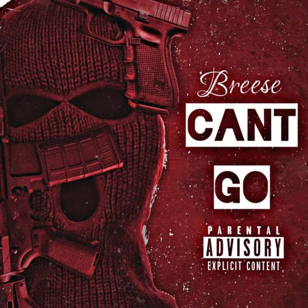 Can't Go (Explicit)