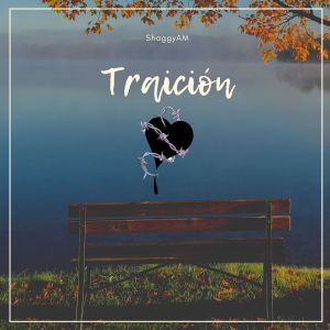 Album Traición from ShaggyAM