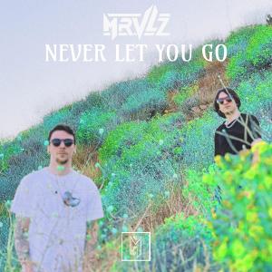Mrvlz的专辑Never Let You Go