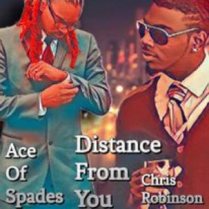ACE OF SPADES的專輯Distance From You (feat. Chris Robinson) [Explicit]