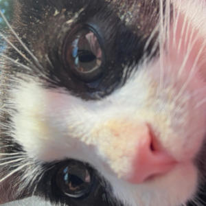 收聽KASHËEË的lonely up top (Explicit)歌詞歌曲