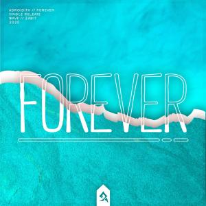 Listen to Forever song with lyrics from Adroidith