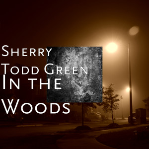 ดาวน์โหลดและฟังเพลง Priority พร้อมเนื้อเพลงจาก Sherry Todd Green