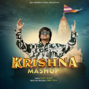 Listen to Krishna Mashup song with lyrics from Herry Nakum