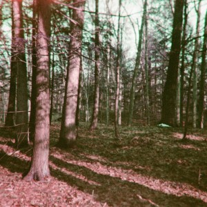 Listen to change song with lyrics from The Field Tapes
