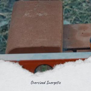 Listen to Oversized Inergetic song with lyrics from Maamar Richt