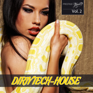 Various Artists的專輯Dirty Tech House Vol. 2