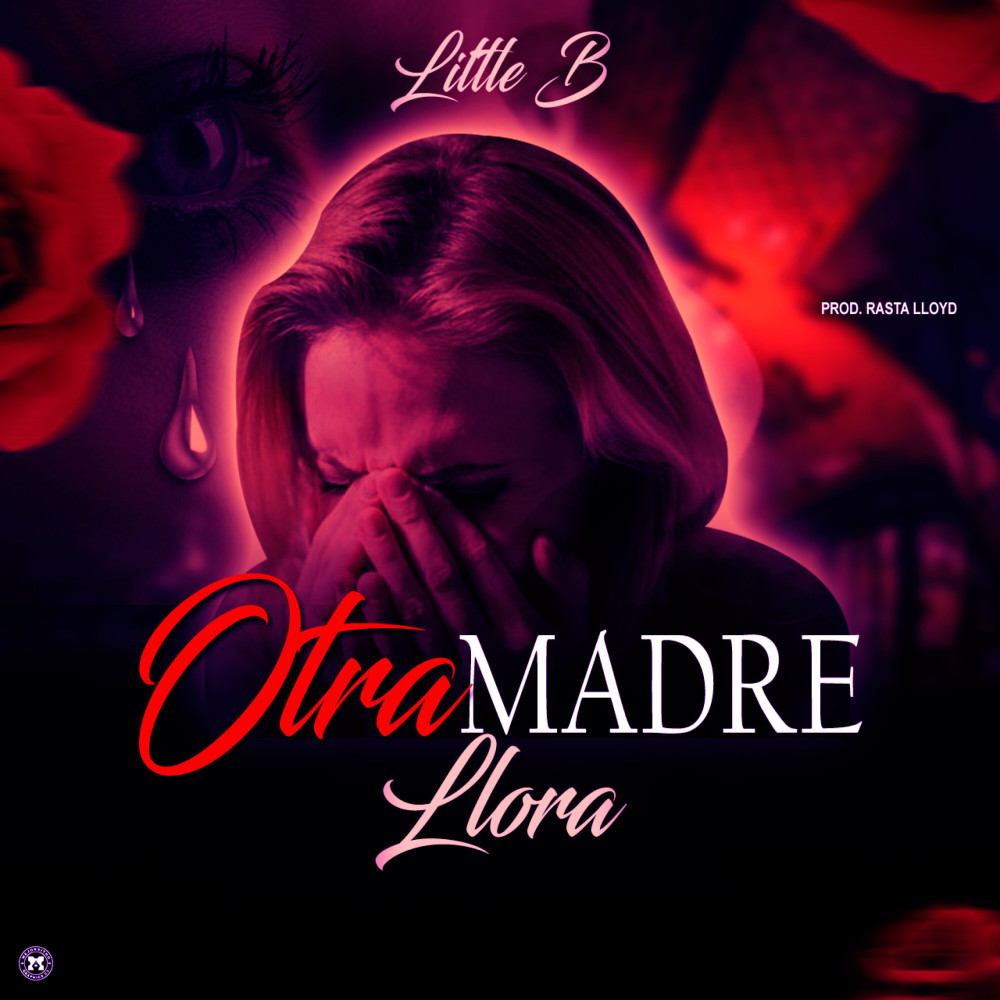 Otra Madre Llora