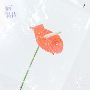 ดาวน์โหลดและฟังเพลง Secret Anthurium พร้อมเนื้อเพลงจาก Sqry01