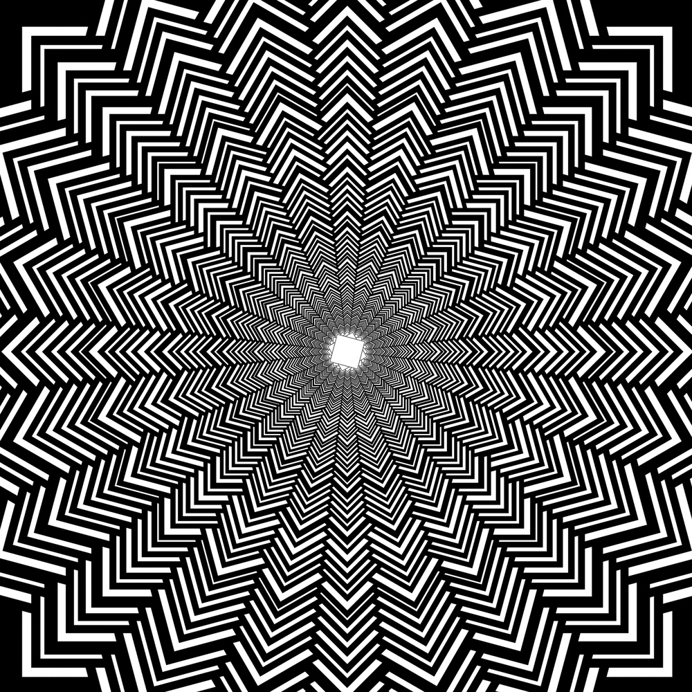 W.D.Y.N