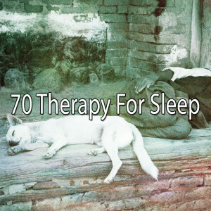 Listen to Getting Shuteye song with lyrics from Best Relaxing Spa Music