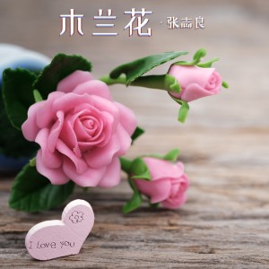 收聽張志良的木蘭花歌詞歌曲