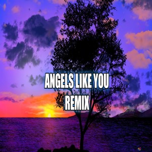 Album Angels Like You Remix from Putra Fvnky