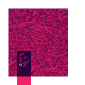 8D Lab - ดนตรีสำหรับทำสมาธิ的專輯ความสงบในใจ