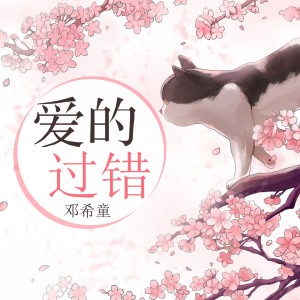 Listen to 爱的过错 (完整版) song with lyrics from 邓希童