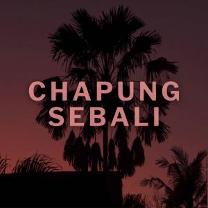 Matic的專輯CHAPUNG SEBALI