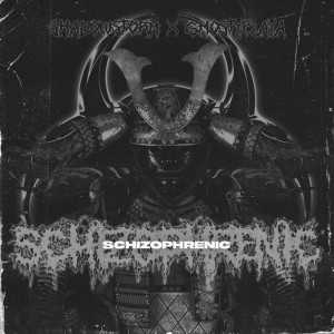 Album Schizophrenic (Slowed + Reverb) from ShadowStorm