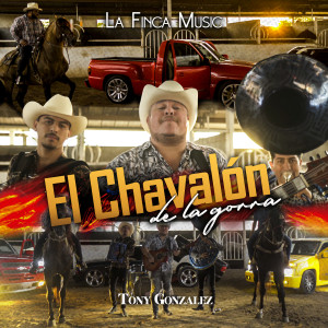 Listen to El Chavalón De La Gorra song with lyrics from Tony Gonzalez