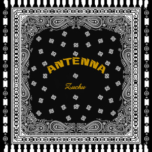 อัลบัม Antenna ศิลปิน Zuchu