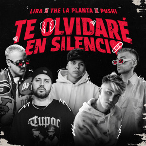 The La Planta的專輯Te Olvidaré En Silencio