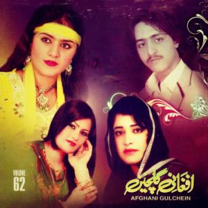 收听Brishna Amel的Starge Toray Pa Oogho Khwara Zalfan Gharzawom歌词歌曲