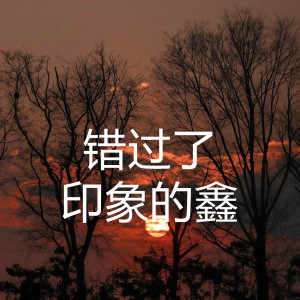Listen to 错过了 (伴奏) song with lyrics from 印象的鑫