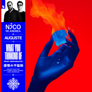 อัลบัม What You Thinking Of ศิลปิน Nico de Andrea