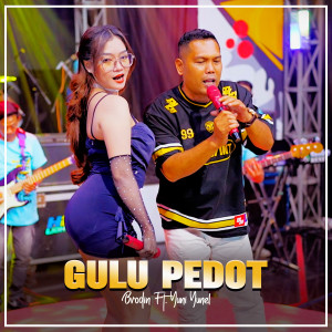 Album GULU PEDOT oleh Brodin