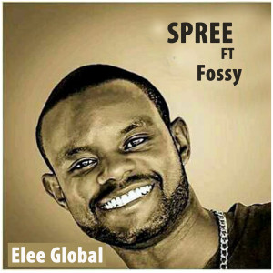 Album Spree from Elee Global