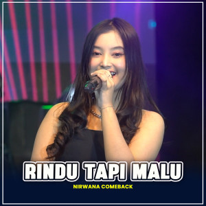 Album RINDU TAPI MALU (Cantika Davinca) from 