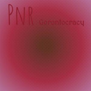 Various Artists的專輯Pnr Gerontocracy