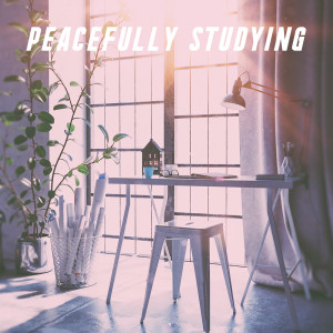Peacefully Studying