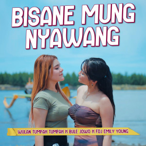 Listen to Bisane Mung Nyawang song with lyrics from Wulan Tumpah Tumpah